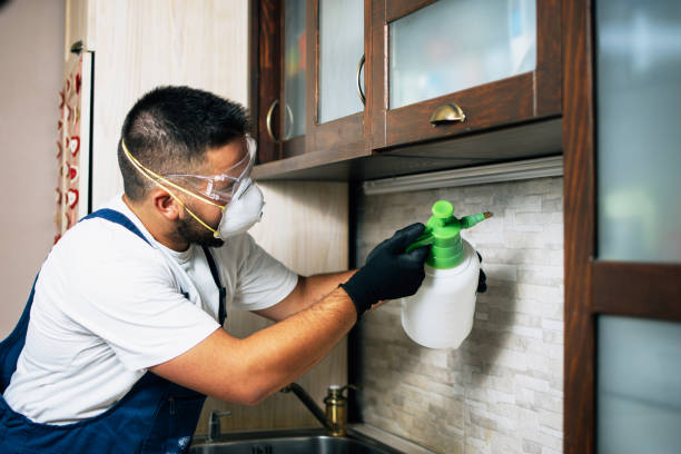Pest Control for Restaurants in Henderson, TX