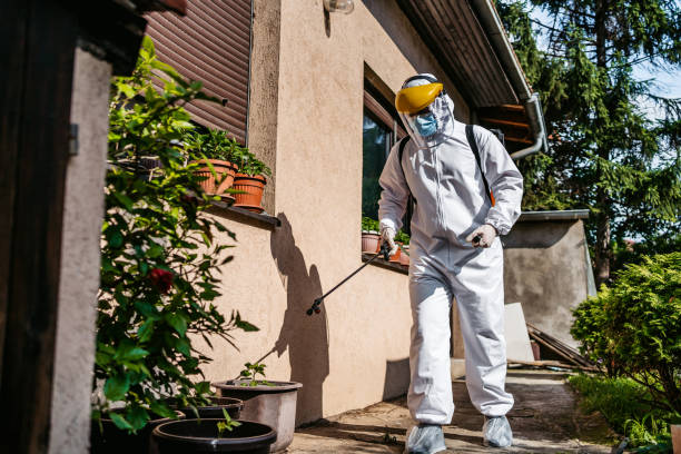 Best Termite Control Services  in Henderson, TX