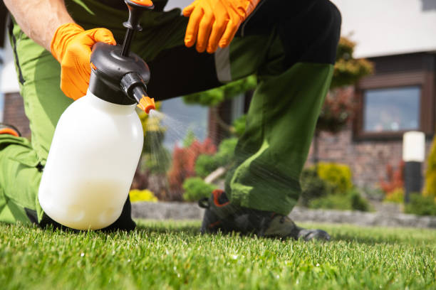 Best Exterminator Services  in Henderson, TX