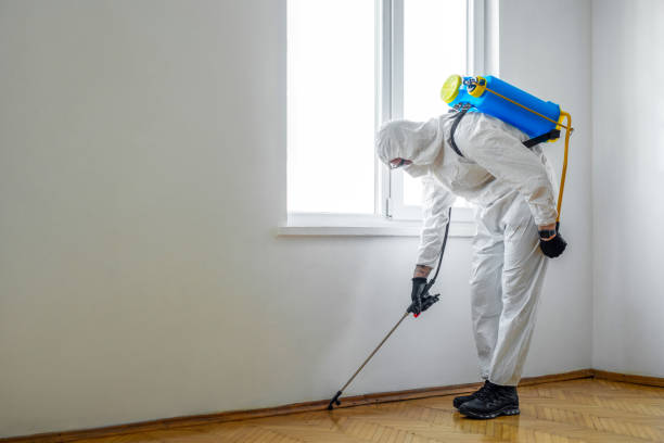 Pest Control Cost in Henderson, TX