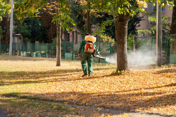 Professional Pest Control in Henderson, TX