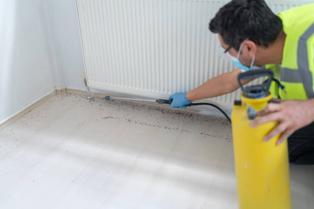 Reliable Henderson, TX Pest Control Solutions