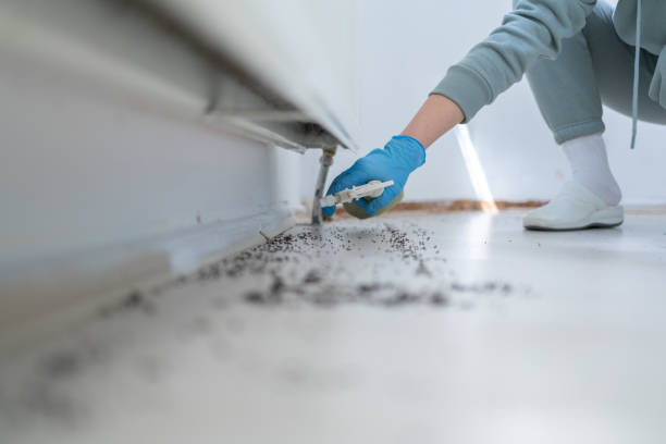 Best Mosquito Control Services  in Henderson, TX